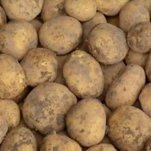 Goudgewas Doré Aardappels