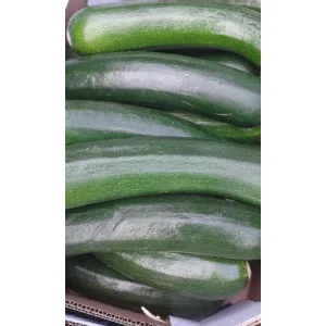 Goudgewas Courgette