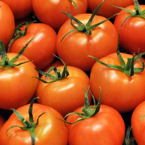 Goudgewas Tomaten