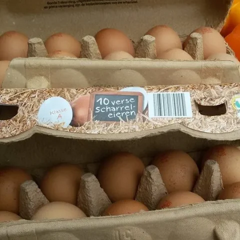 Goudgewas Scharrel eieren