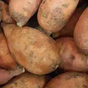 Goudgewas Zoete aardappels